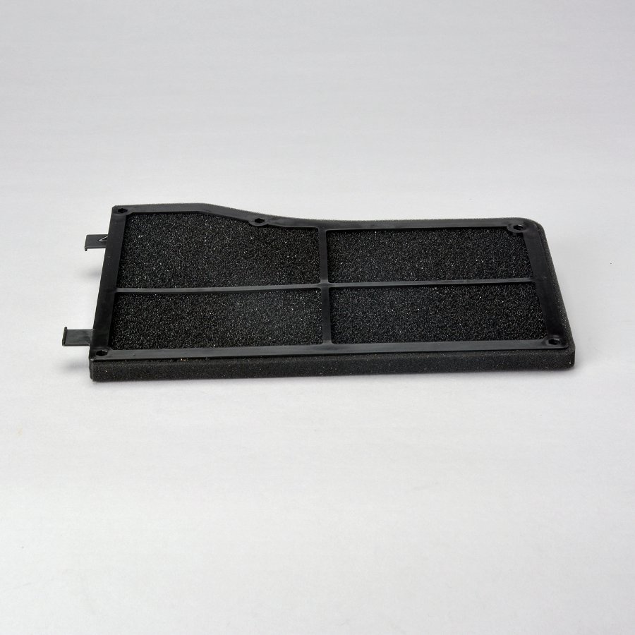 Air Filter - P630281