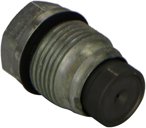 Bosch Pressure Limiting Valve 1110010013 - 1110010013