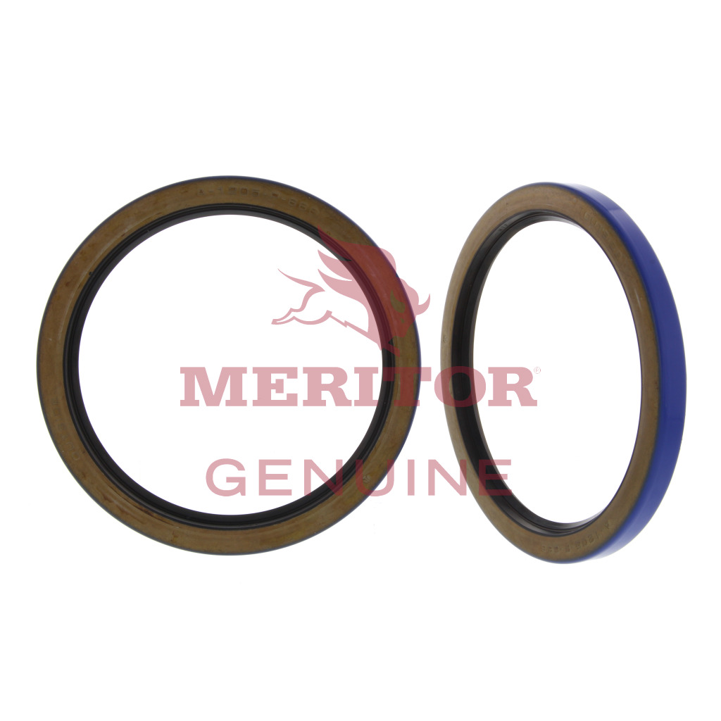Axle Differential Seal - A1205P666