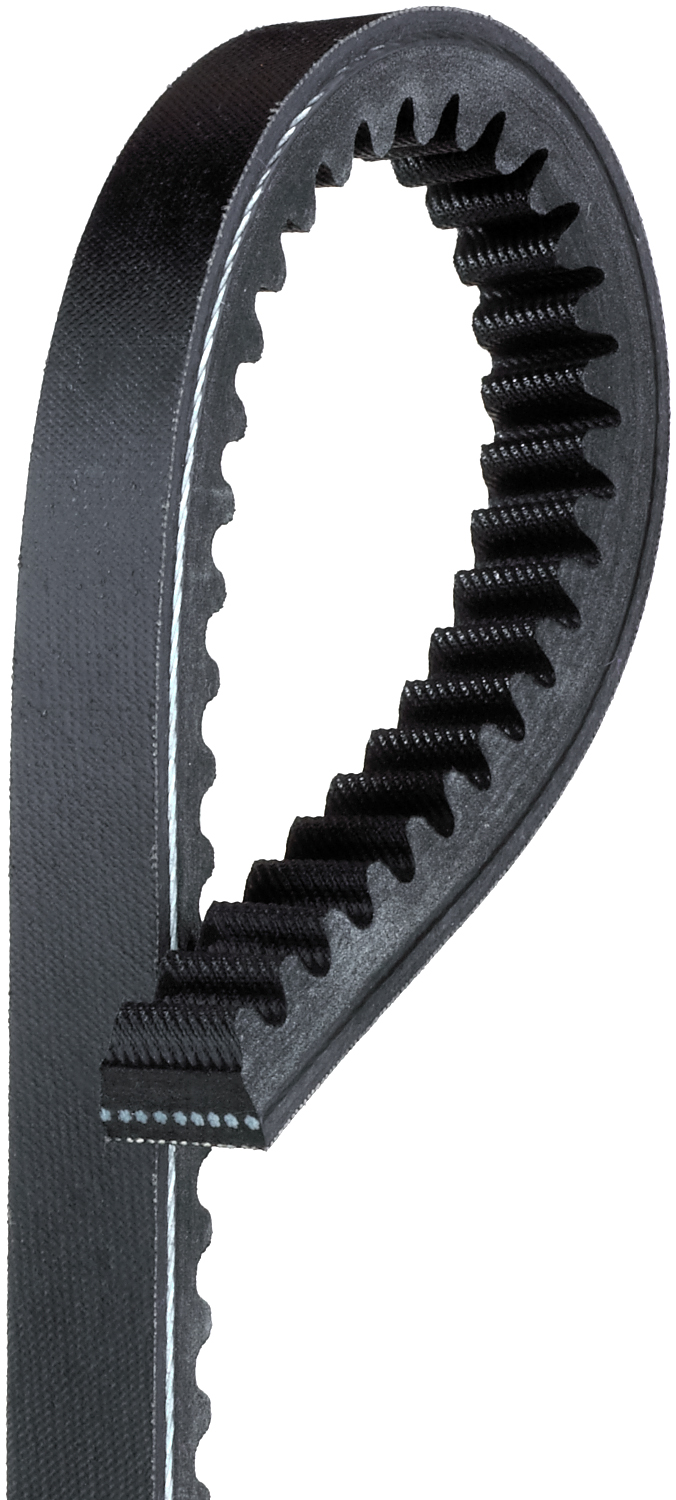 Accessory Drive Belt - TR28412