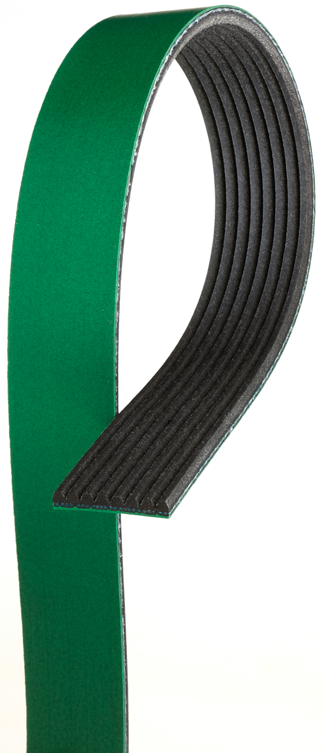 Serpentine Belt - K081035HD