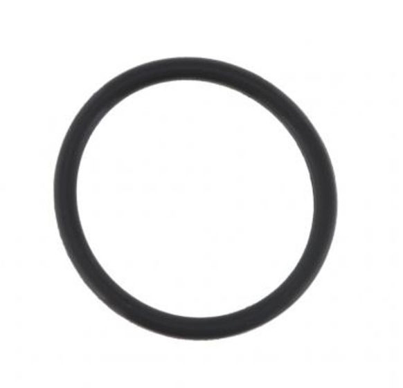 O-Ring - 321271