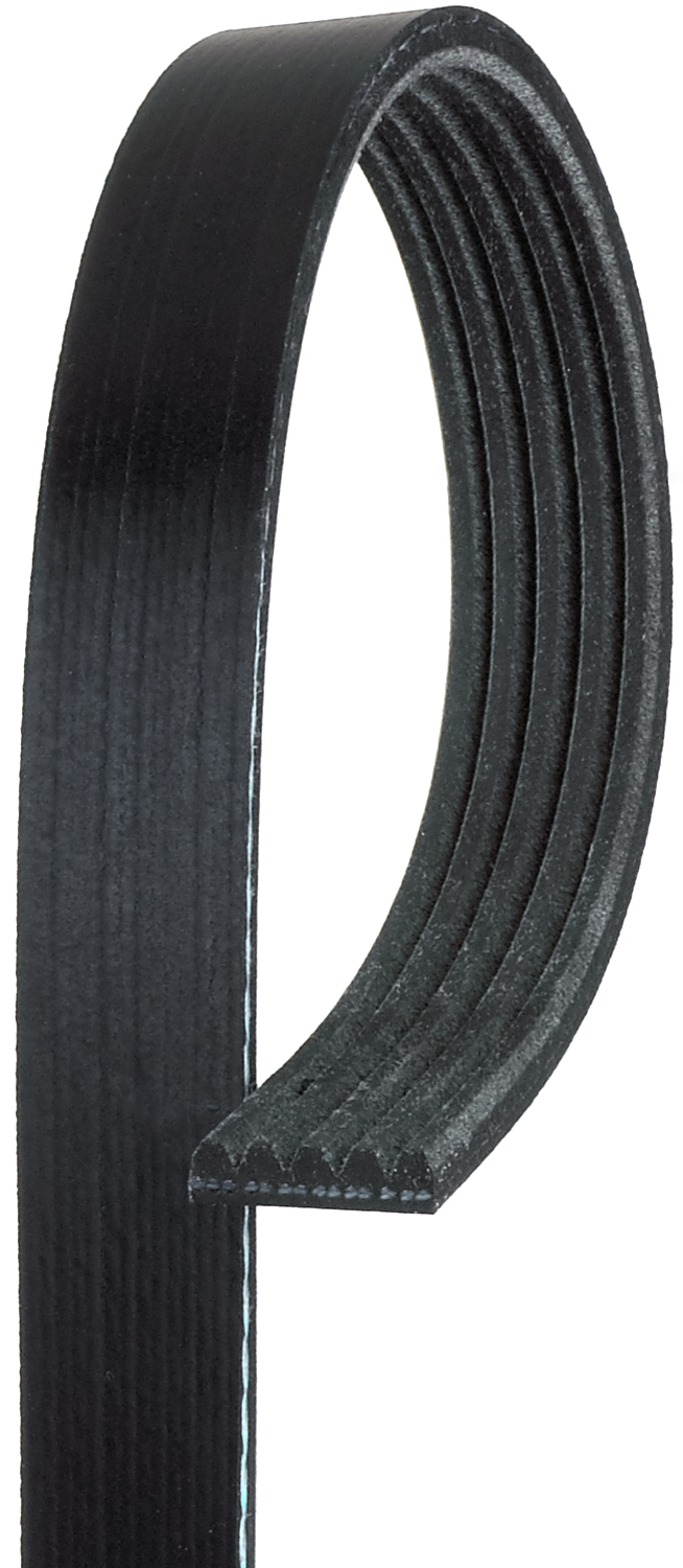 Serpentine Belt - K050336