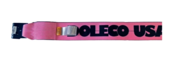 Doleco 23190021C - 4"X30' Pink Winch Strap W/ Flat Hook - 23190021C