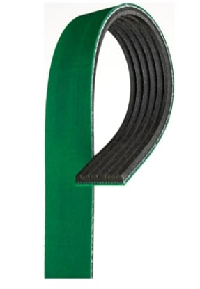 Serpentine Belt - K060609HD