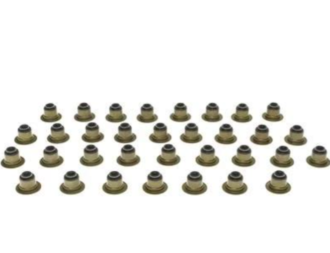 Valve Stem Oil Seal Set - SS46021