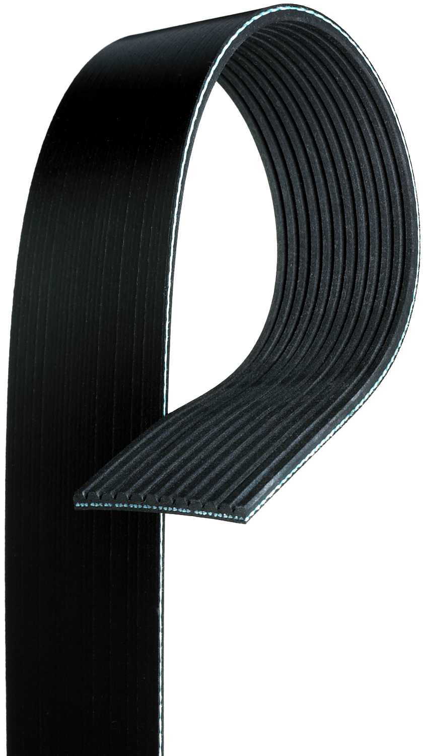 Serpentine Belt - K120979