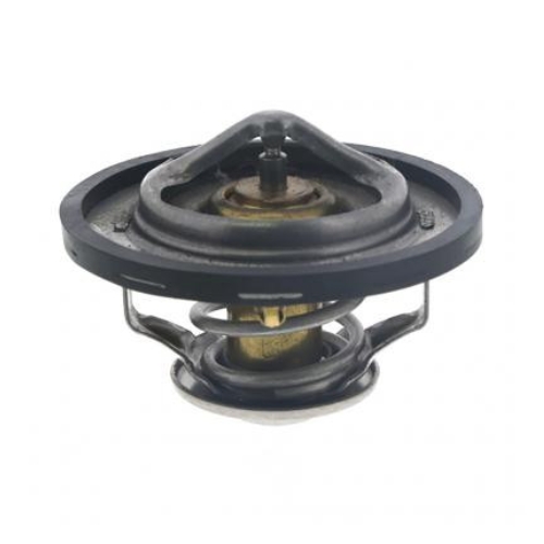 THERMOSTAT - 481828
