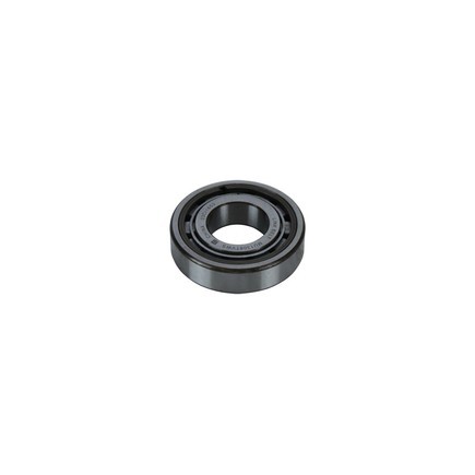 Newstar S-19859 Bearings - 19859