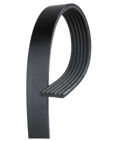 Micro-V Serpentine Drive Belt - K060434